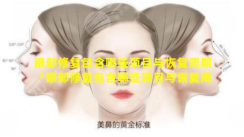 眼部修复包含哪些项目与恢复周期「眼部修复包含哪些项目与恢复周期 🌵 的方法」